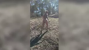 Isabelle Deltore outdoor booty spreading порно реальный секс