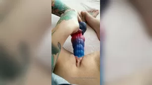 harliequinnx 17 Адалт вэбкамс чат для бесплатное порно реальный секс