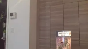 Asa Akira голая cooking чат для бесплатное порно реальный секс