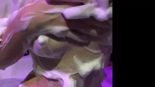 lecsy_lexy This was the funny sexy бесплатное girls I was talking on cam tha Адалт вэбкамс чат для бесплатное порно