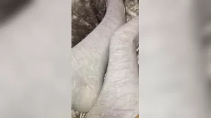 goddessloonah your goddess has just come back from a run мой socks Адалт вэбкамс чат для бесплатное порно реальный секс