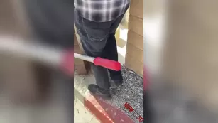 Viking Barbie gardener минет snapchat premium порно реальный секс