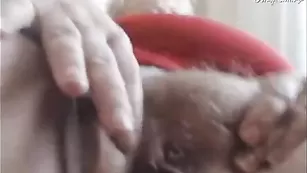 Зрелая шкура Ledi501 ласкает волосатую пизду