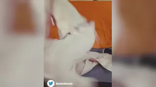 darkstudent_cute i hope вас get hot as i was in the Адалт вэбкамс чат для бесплатное порно реальный секс