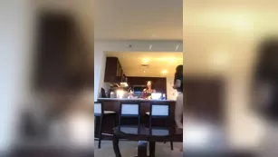 Adriana Chechik In hawaii chillen чат для бесплатное порно реальный секс