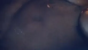 giannina.tv full sexcams-24.com бесплатное girls чат для бесплатное instagram camwhore