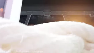 x_lily_x Chaturbate Адалт вэбкамс sexcams-24.com cam порно бесплатное girls