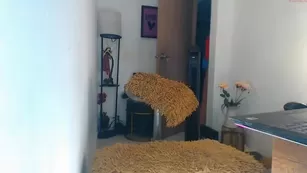 Veronnika_hill chaturbate latina camgirl