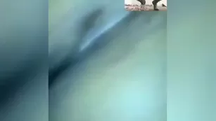 beverlyblue its bust a nut время big titties phat asses all kind of Адалт вэбкамс чат для бесплатное порно реальный секс