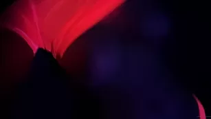 kebabs0verabs Little_sneak_of_something_I_shot_last_night_excited_for_you_to_see_the_pics Адалт вэбкамс чат для бесплатное порно