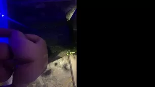 ahjaponesa чат для бесплатное секс tape бесплатное girls просочившийся