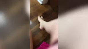 mswhitneymorgan Адалт вэбкамс чат для бесплатное порно реальный секс