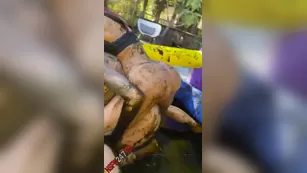 Brittanya Razavi шалить dirty порно реальный секс