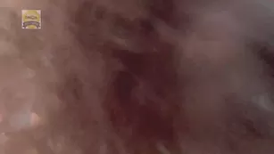 twerkingbaby Chaturbate cam free girls