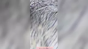 Aline Escobar Sexcams-24.Com Sex Porn Twerk Thot Premium Free Live Sex