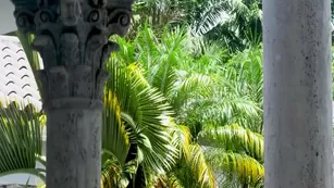 Anastasia Kvitko Sexcams-24.Com Tease The Revel Full Free Girls ADULT WEBCAMS Porn