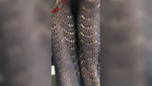 dj pragmatica pink dildo masturbation snapchat Adult Webcams porn live sex