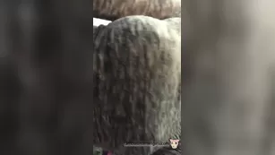 Mia Gray Pussy tease Instagram camwhore ADULT WEBCAMS Premium Porn