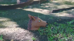 ashe maree cum and calming outdoors masturbation porn free girls manyvids