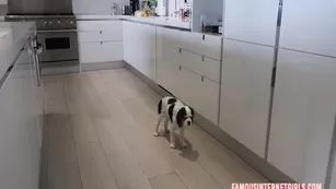 Ashley Tervort Bathing Suite Try On Vlog Haul Youtube ADULT WEBCAMS Premium Porn