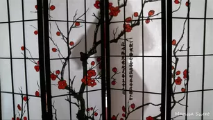 Marissa Sweet silhouette tease joi cbt Adult Webcams premium porn live sex