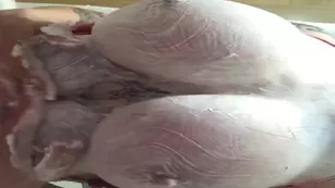 Victoria Lomba Sexcams-24.Com Live Sex Leak Chat For Free ADULT WEBCAMS Premium Porn