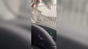 ana lorde dildo masturbation in car snapchat Adult Webcams porn live sex