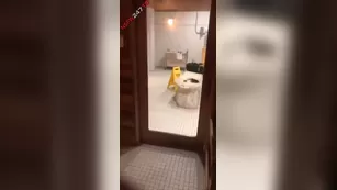 ariana gray with friend sauna Show snapchat Adult Webcams porn live sex