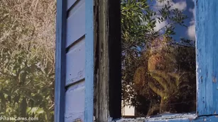 naomi dee backyard Blowjob premium Adult Webcams porn free girls manyvids