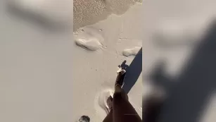 Naadia muse_naadia chat for free Adult Webcams porn