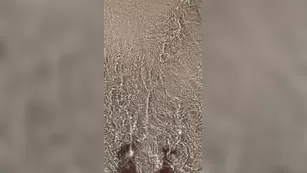 Naadia muse_naadia chat for free Adult Webcams porn