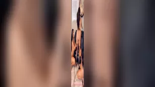 bbblove419 Sexcams-24.Com Chat For Free Lesbian Bath Fun ADULT WEBCAMS Premium Porn