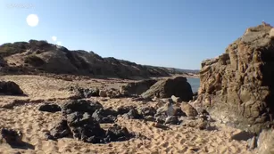 blackswan19 - A day at the beach - ManyVids Interracial POV Porn Vids