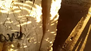 photo session in caves went into bj sex anal fuck Adult Webcams premium manyvids porn live sex