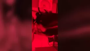 rainey james giving head a guy in club toilet snapchat Adult Webcams porn live sex