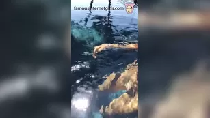 Ana Cheri Sexcams-24.Com live sex on vacation NSFW ADULT WEBCAMS Premium Porn