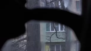 slow sloppy Blowjob from nympho teen girl big massive dick Adult Webcams premium manyvids porn live sex