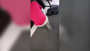 Nirvana Lust bbw fucks real cable guy Adult Webcams premium porn live sex