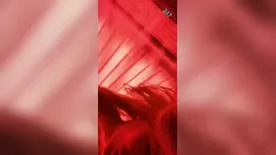 riley steele tanning time snapchat Adult Webcams porn live sex