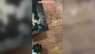 Becky Crocker Sexcams-24.Com Squirting Pussy Chat For Free Leak ADULT WEBCAMS Premium Porn