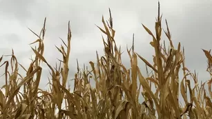 demongoddessj public ass teasing is it even spooky season if you haven t gotten your ass ate in a pumpki Adult Webcams chat for free porn live sex