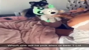 Toochi Kash Blowjob Chat For Free leak ADULT WEBCAMS Premium Porn