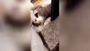 Vicky Aisha Sexcams-24.Com Live Sex Snapchat Leaked ADULT WEBCAMS Premium Porn