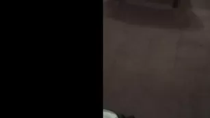 Dillion Harper Collection Of Live Sex Chat For Free Leaked ADULT WEBCAMS Premium Porn