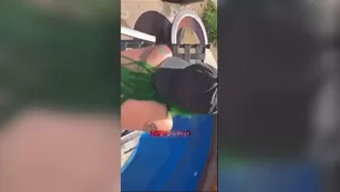 Princesspineapple cream pie live sex ADULT WEBCAMS Premium Porn