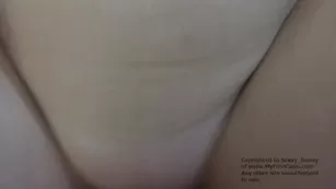 sexxy bunny quick cream pie POV big boobs porn free girls manyvids