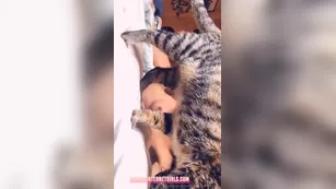 Bronze Goddess Full Sexcams-24.Com Live Sex Chat For Free Free Leaked ADULT WEBCAMS Premium Porn