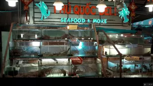 luna x james the sex diaries 02 lunaxjames asian vlog french Adult Webcams free manyvids porn free girls