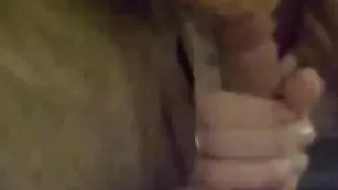 Русская самка алина отсасывает пенис