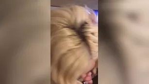 Brandi Bae chat for free BIG black dick Ft. Brandi B free Adult Webcams premium porn live sex